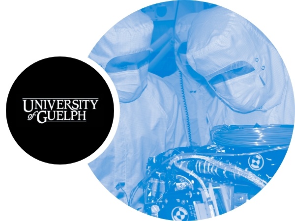 Opportunities Opportunities